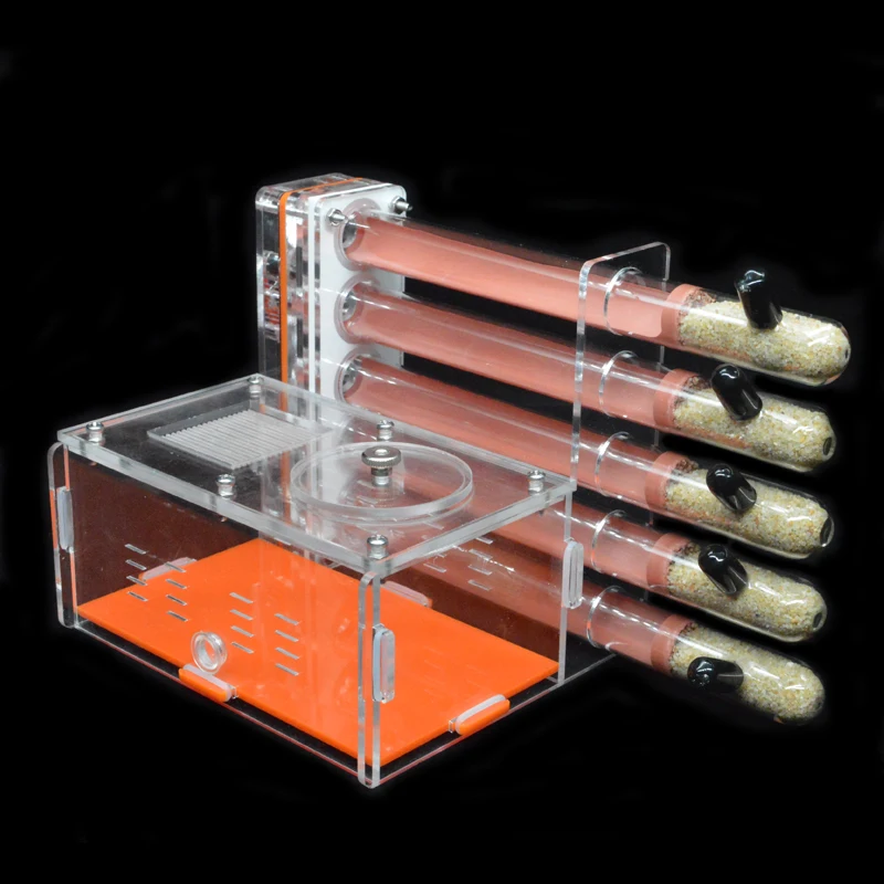 DIY Acryl Ameisenfarm 5 Stück  – Begonia Rex Bewertung und Preis