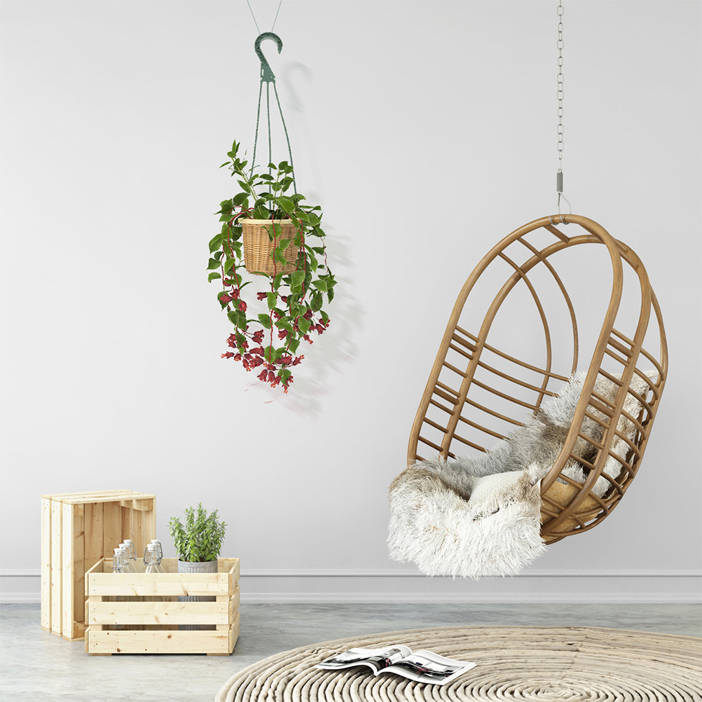 5-teiliges Set Haken für Hänge – Spider Plant Hanging Bewertung und Preis