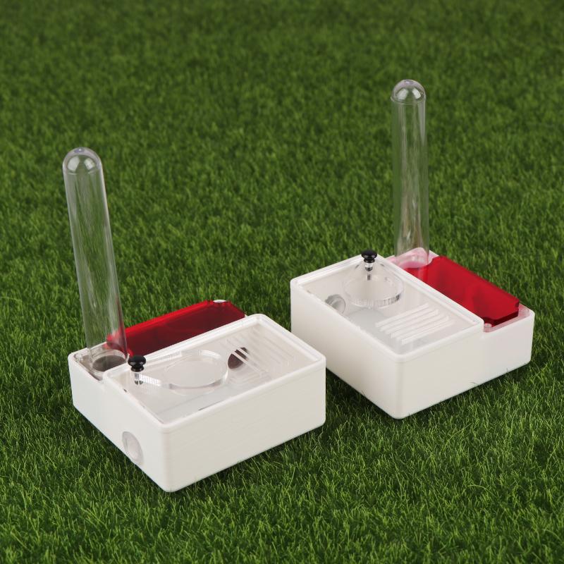 1Pcs Ant Farm Queen Ant's Nest – Begonia Rex Bewertung und Preis