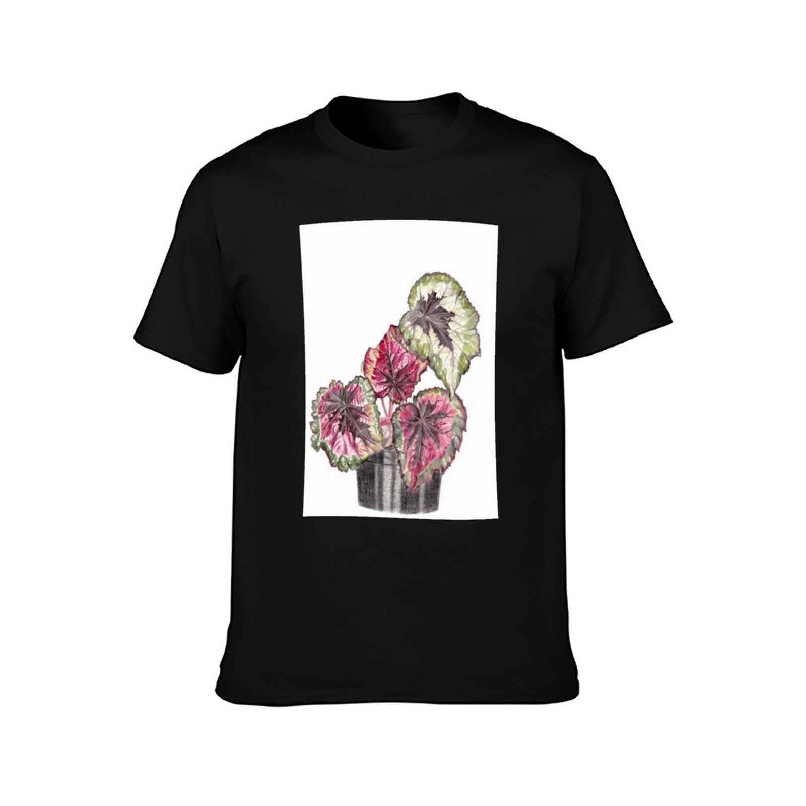 Begonia Rex T-Shirt Komfort-St – Begonia Rex Bewertung und Preis